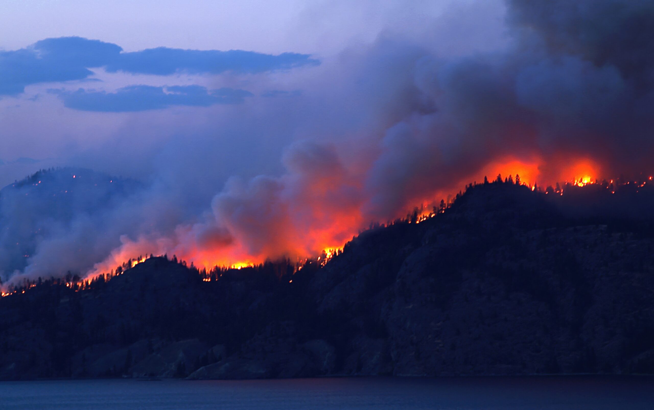 Fire Safety from Scratch - Dennis Group
